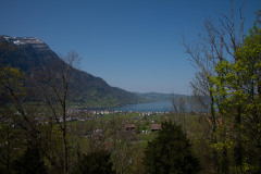 flechten-102