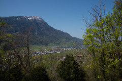 flechten-103