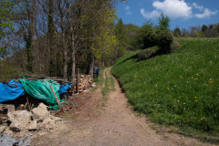 flechten-104