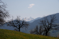 flechten-105