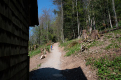flechten-109