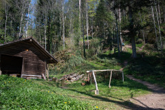 flechten-110