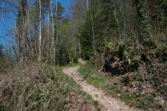 flechten-112