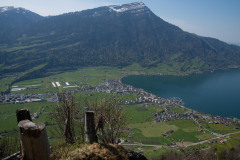 flechten-114