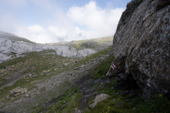 Baelmeten-133-von-41