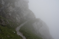 Baelmeten-134-von-41