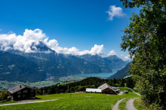 Baelmeten-138-von-41