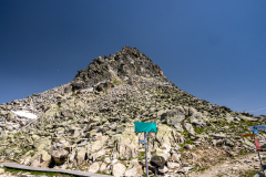 bettmergrat-10