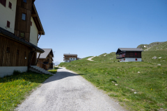 bettmergrat-3