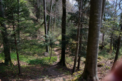 flechten-126