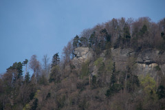 flechten-130