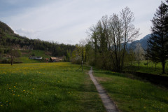 flechten-132