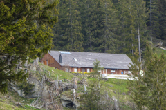 Spitzibüel