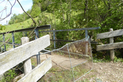 Wildspitz-4
