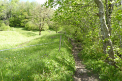 Wildspitz-5