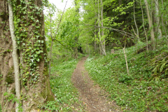 Wildspitz-8