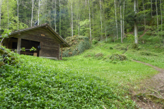 Wildspitz-9