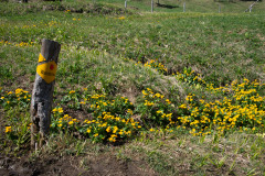 lauerz-gaetterli-gersau-121