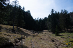 lauerz-gaetterli-gersau-122