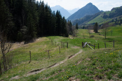 lauerz-gaetterli-gersau-124