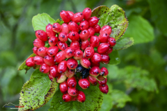 Wanderung Biberbrugg Rothenthurm