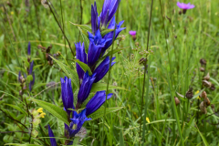 Wanderung Biberbrugg Rothenthurm