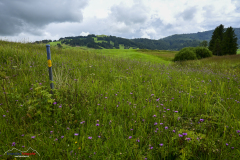 Wanderung Biberbrugg Rothenthurm
