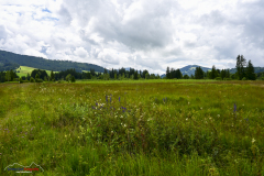 Wanderung Biberbrugg Rothenthurm