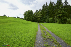 Wanderung Biberbrugg Rothenthurm