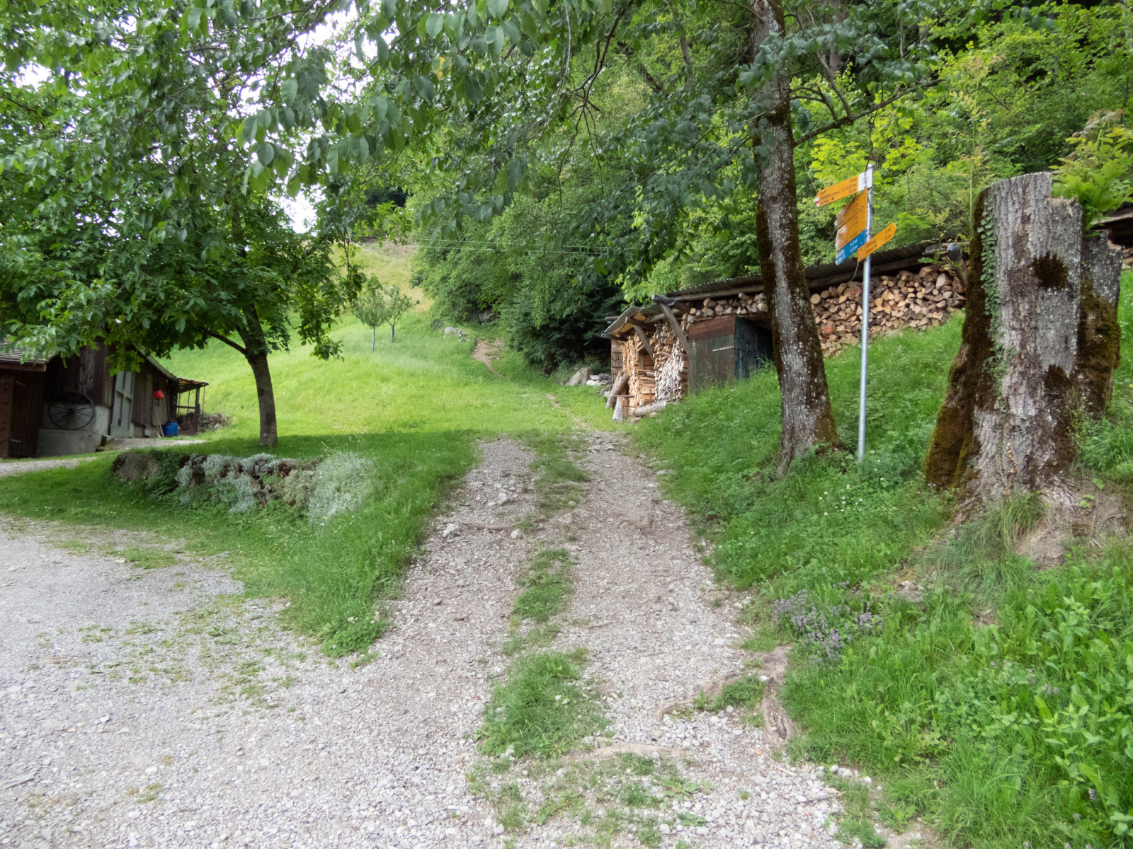 Wanderung von Brunnen auf das Bützi un die Stockflue beim Timpel, Urmiberg.