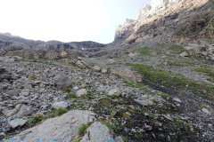 Urirotstock0913-110-von-22