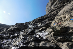 Urirotstock0913-111-von-22