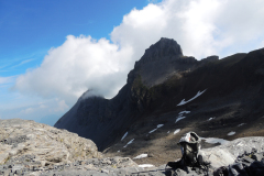 Urirotstock0913-116-von-22