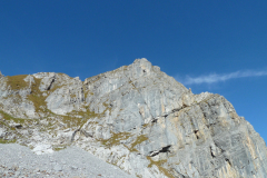 Urirotstock0910-101-von-24