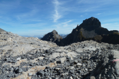 Urirotstock0910-103-von-24