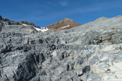 Urirotstock0910-104-von-24