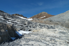 Urirotstock0910-105-von-24