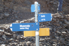 Urirotstock0910-109-von-24