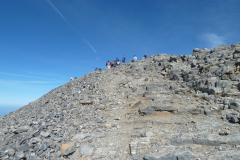 Urirotstock0910-111-von-24