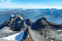 Urirotstock0910-113-von-24