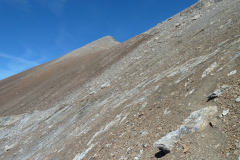 Urirotstock0910-116-von-24