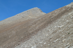 Urirotstock0910-117-von-24