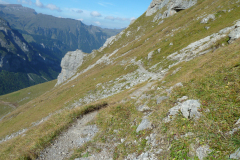 Urirotstock0910-119-von-24