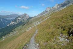 Urirotstock0910-120-von-24