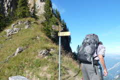 Urirotstock0910-121-von-24