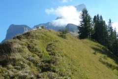 Urirotstock0910-122-von-24