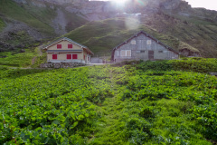 Alp ZIngel, Muotathal