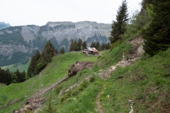 Alp, Heimet Wallis, Muotathal