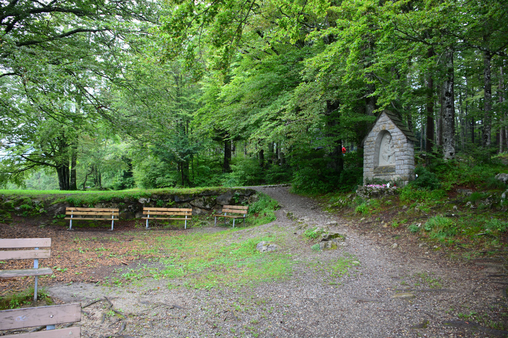 wegderschweiz0714_-8 wegderschweiz0714_-8