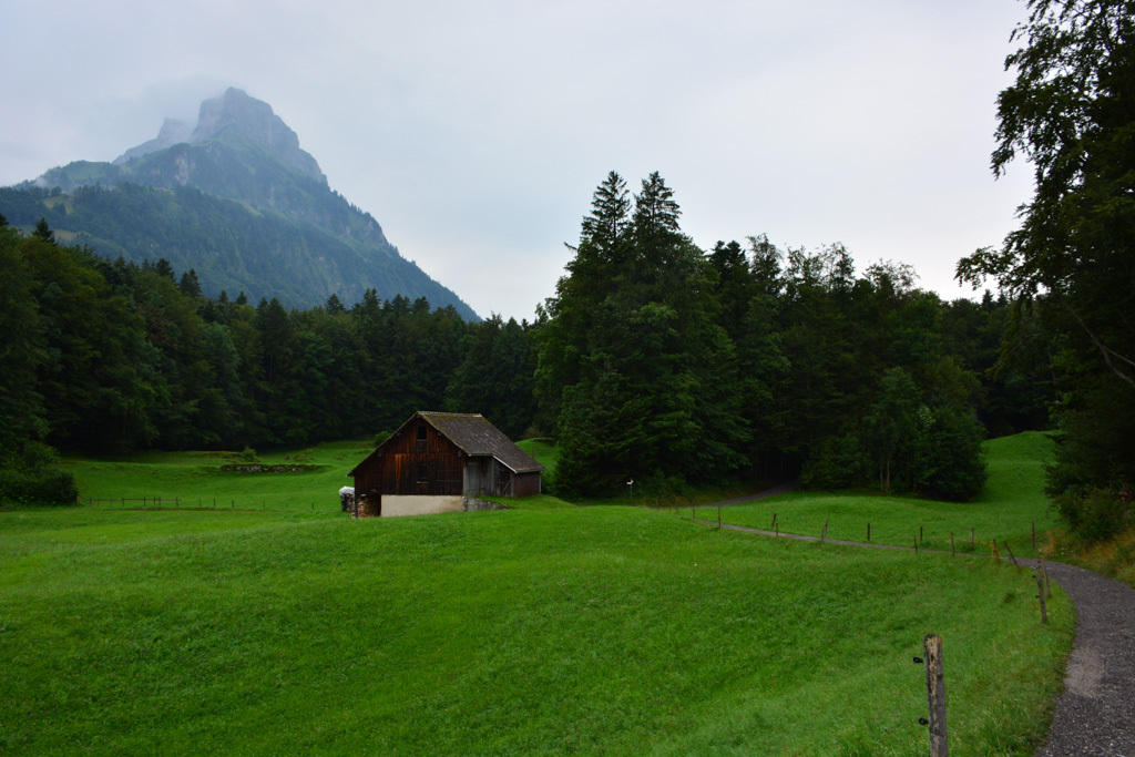 wegderschweiz0714_-9 wegderschweiz0714_-9